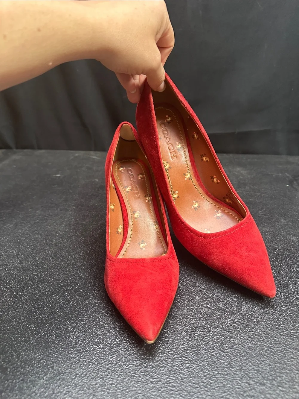 Coach Classic lipstick Red Suede Pointed-Toe Pumps
